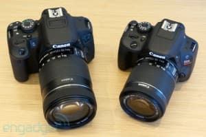 canondsc06955